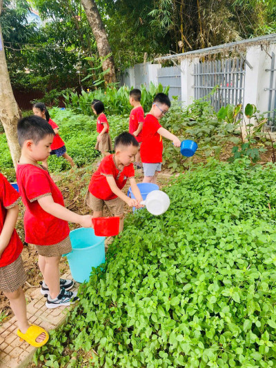 🌞 MÙA HÈ TRẢI NGHIỆM - TRẺ HỌC TỪ NHỮNG ĐIỀU GẦN GŨI NHẤT 🌱👧👦